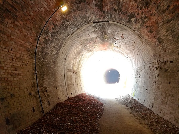 アプトの道　第七号トンネル