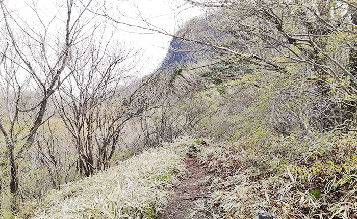 スルス岩から松之沢峠方面で下山する道
