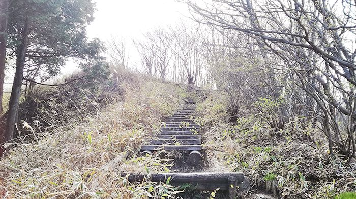 スルス岩から松之沢峠方面で下山する道の階段