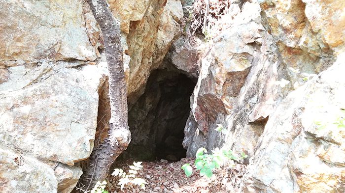 戸神山山頂から下山ルートの道にある洞穴