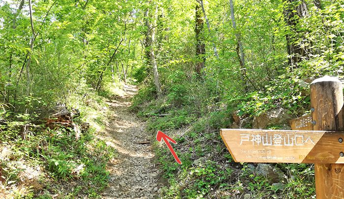 鉱山跡ルートと林道ルートの分岐の看板