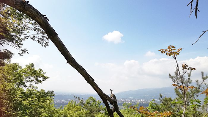 戸神山登山道の鉱山跡ルートからの景色