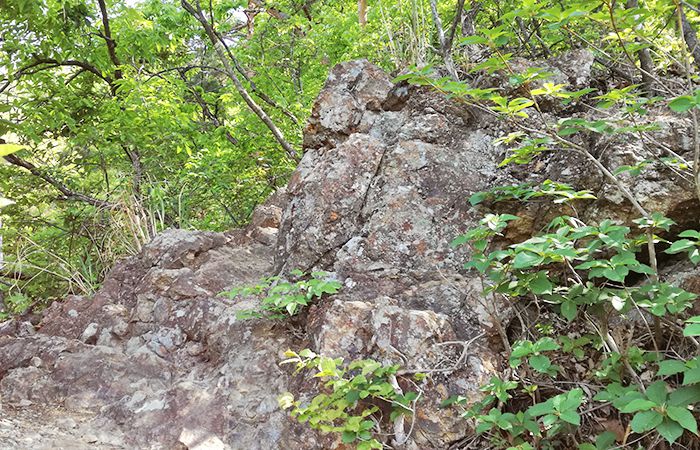 戸神山登山道の鉱山跡ルート
