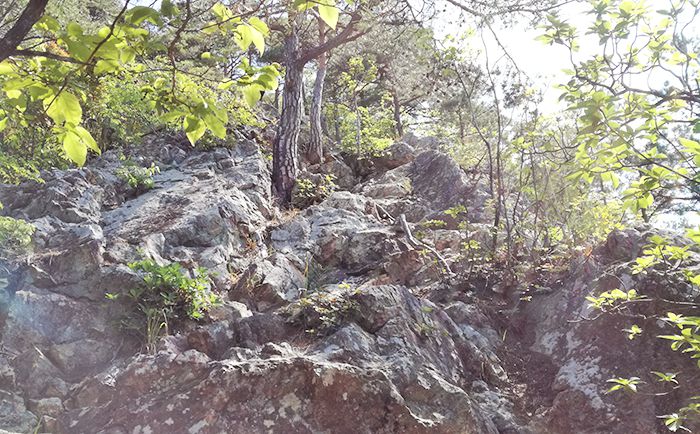 戸神山登山道の鉱山跡ルートの岩場