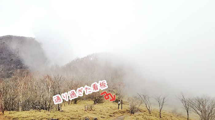 駒ヶ岳登山道