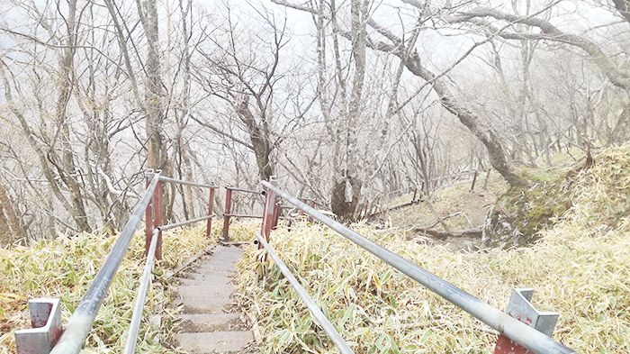 駒ヶ岳登山道の鉄階段