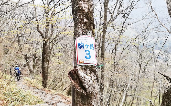 駒ヶ岳登山道にある緊急時用の番号
