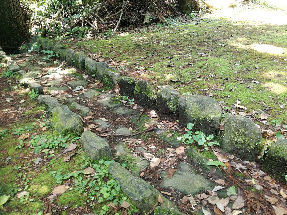 金鑚神社から駐車場への道にある水路