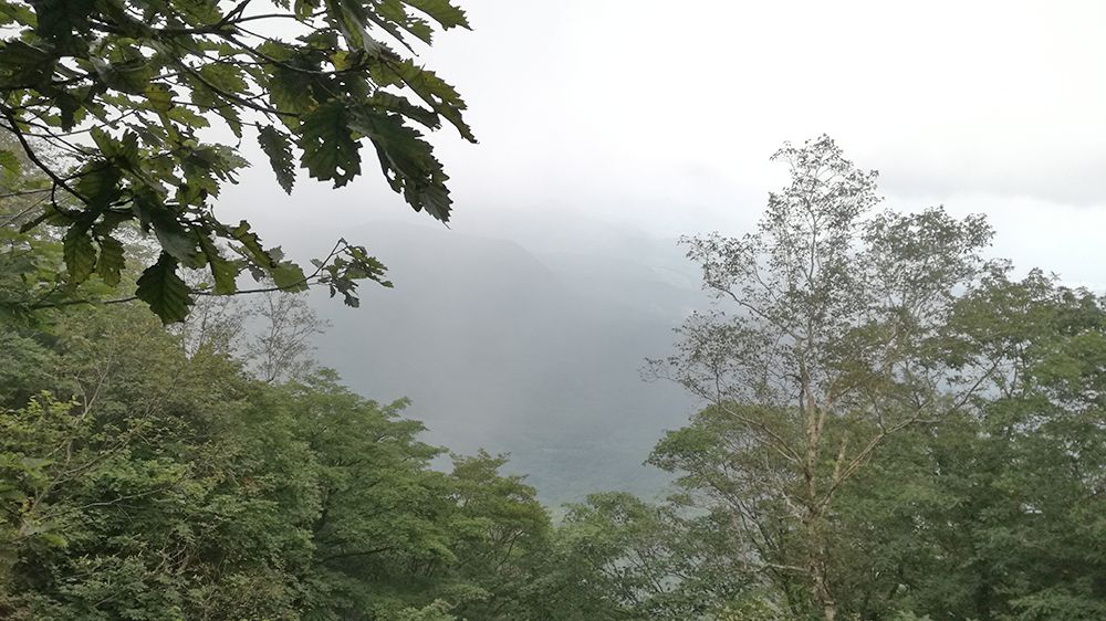 長七郎山登山道からの風景
