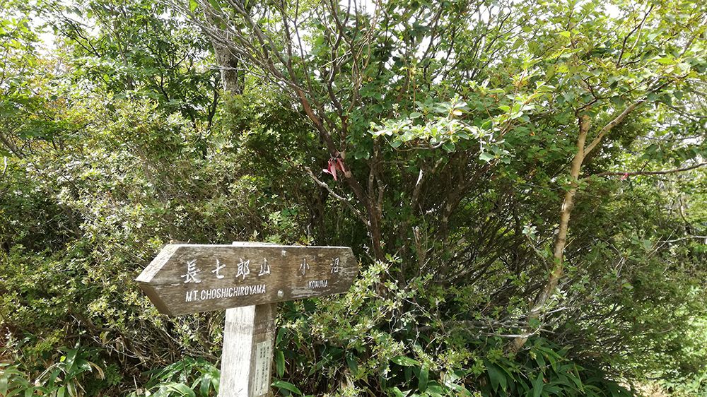 長七郎山から小沼までの道にある看板