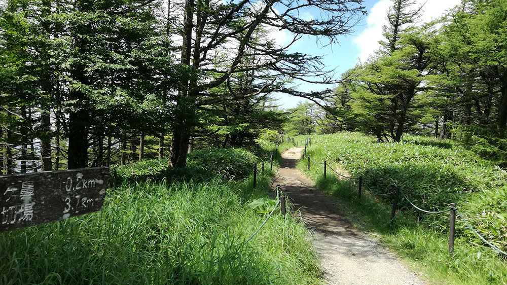 美ヶ原高原の遊歩道