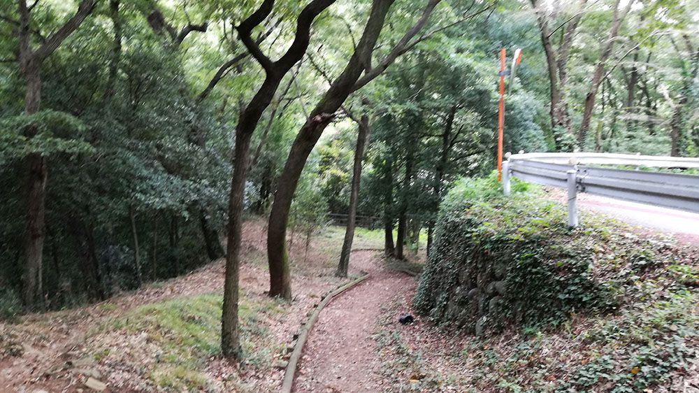 金山城跡の新田神社から御城橋までの道